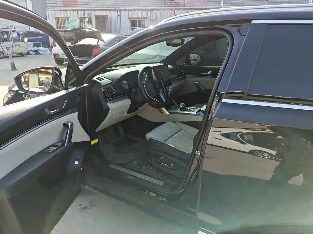 BYD Tang New Energy 2022 из CN, фото 9