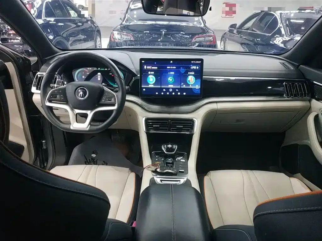 BYD PLUS New Energy 2022 из CN, фото 10