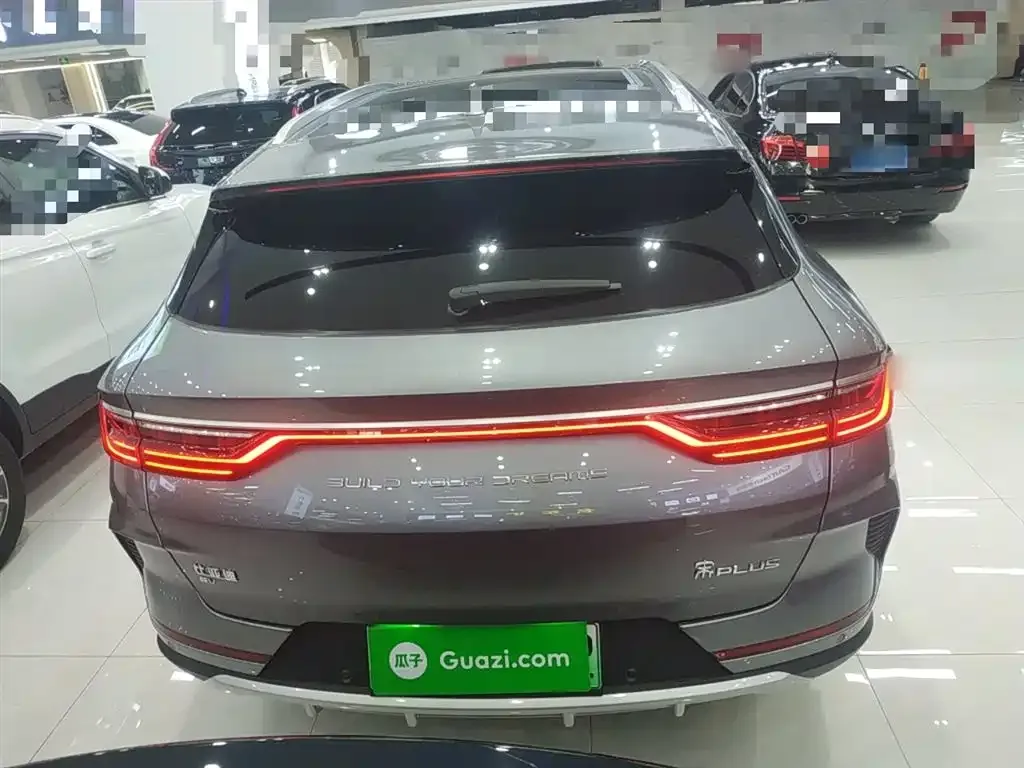 BYD PLUS New Energy 2022 из CN, фото 6