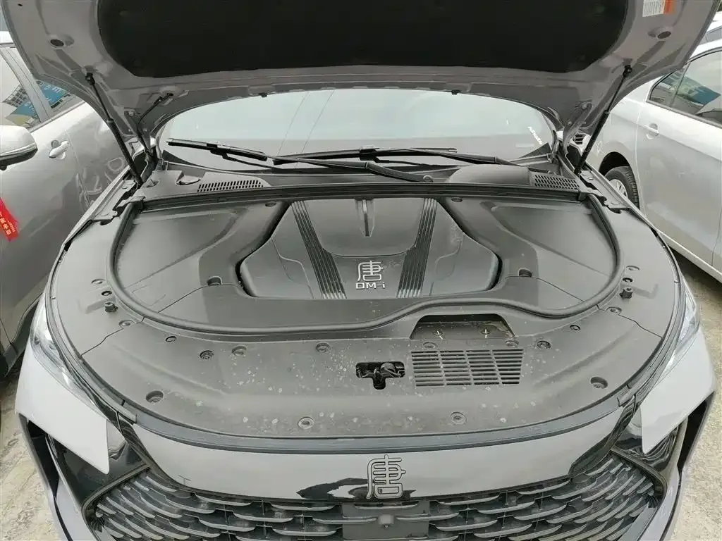 BYD Tang New Energy 2025 из CN, фото 10