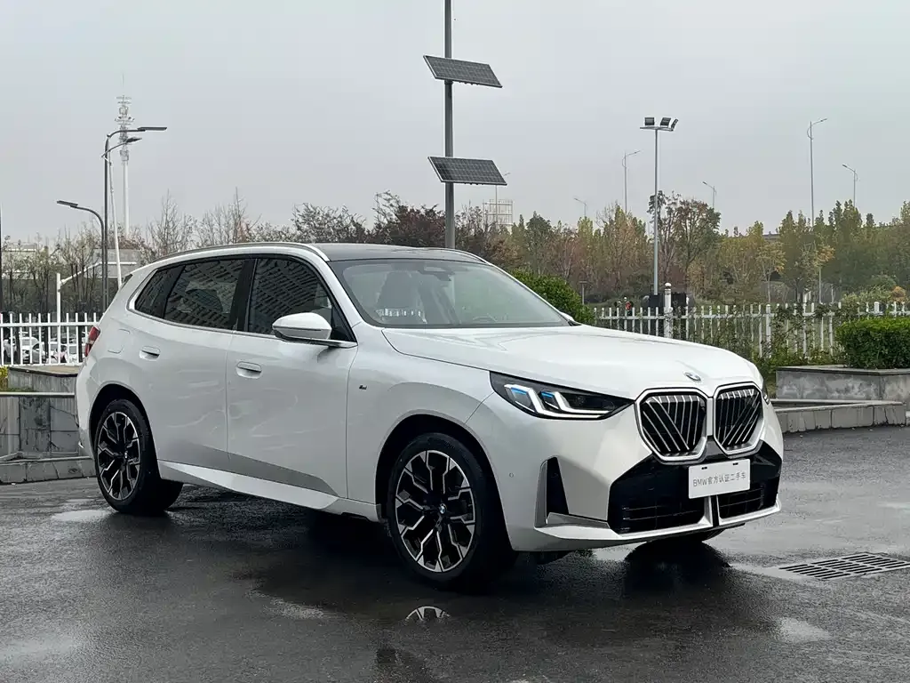 BMW X3 2025 из CN, фото 8