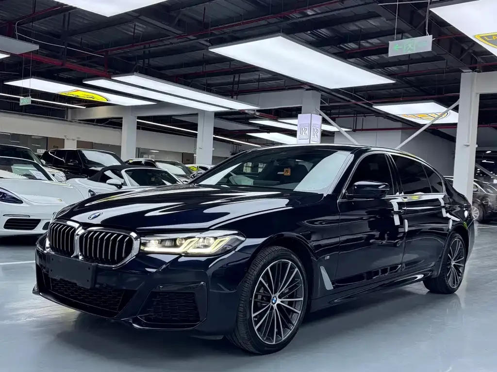 BMW 5 Series 2022 из CN, фото 1