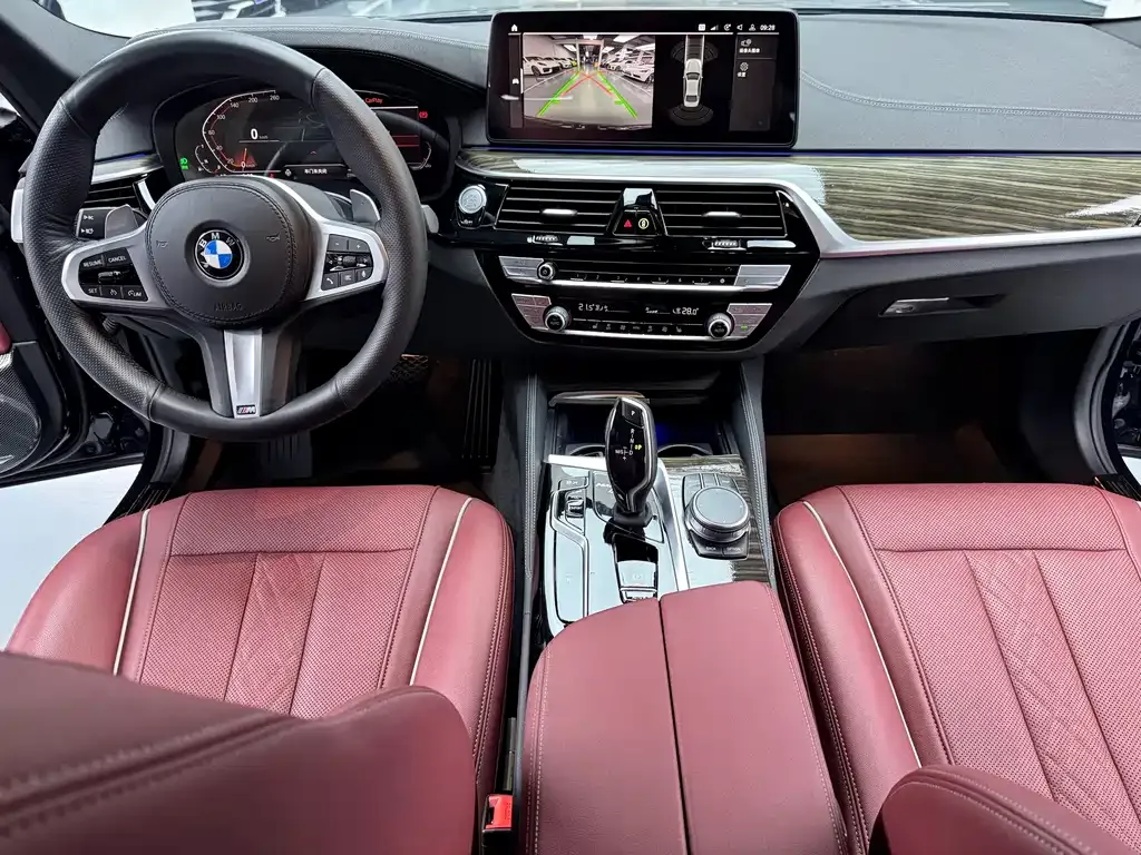BMW 5 Series 2022 из CN, фото 10
