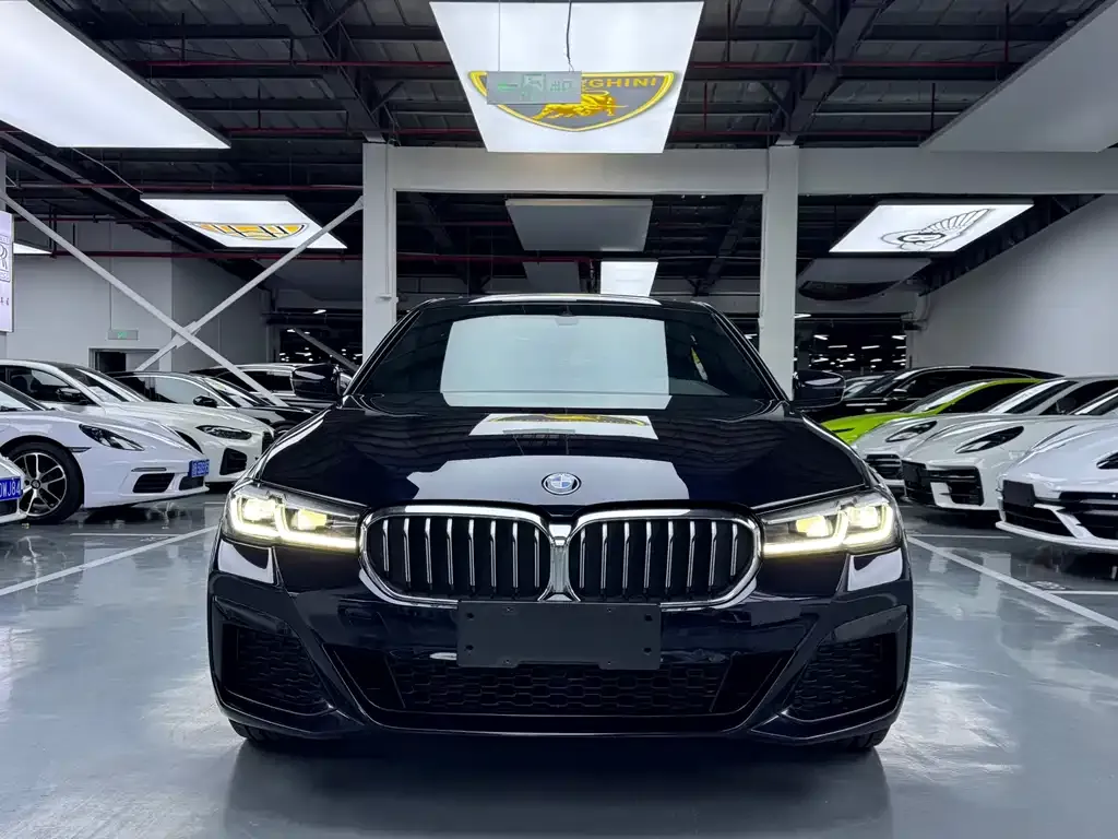 BMW 5 Series 2022 из CN, фото 2