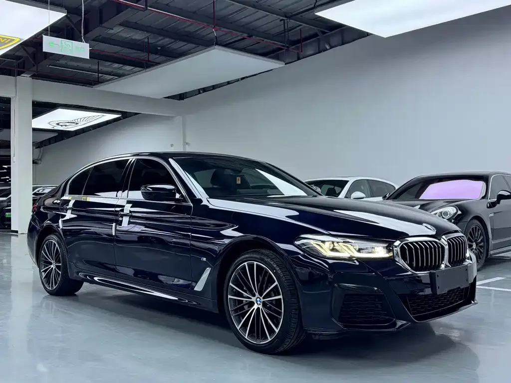 BMW 5 Series 2022 из CN, фото 3