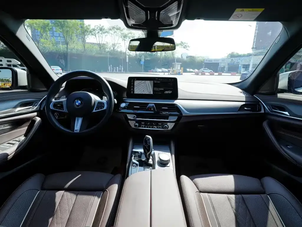 BMW 5 Series 2022 из CN, фото 10