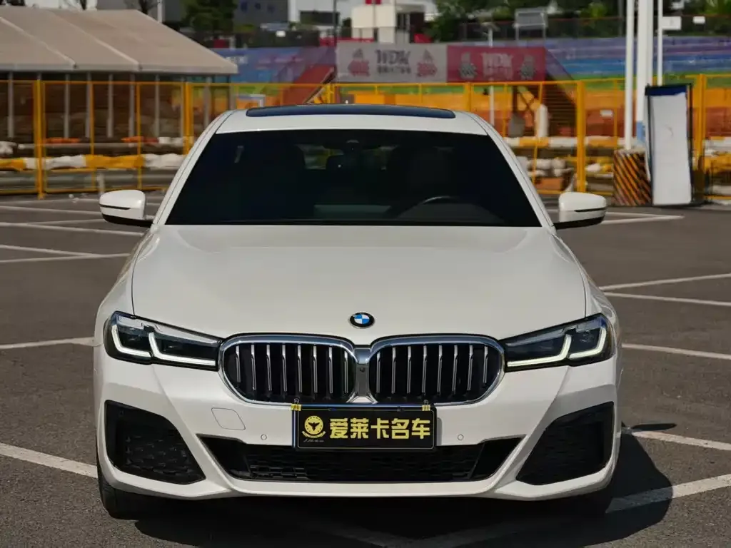 BMW 5 Series 2022 из CN, фото 2