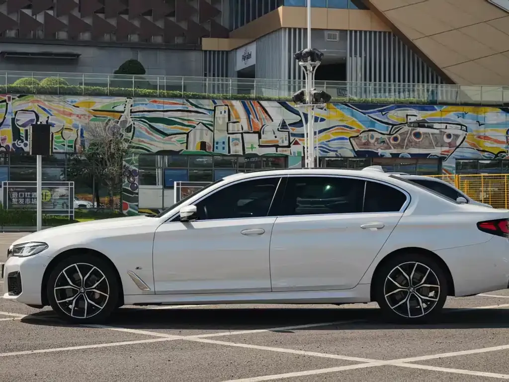 BMW 5 Series 2022 из CN, фото 4