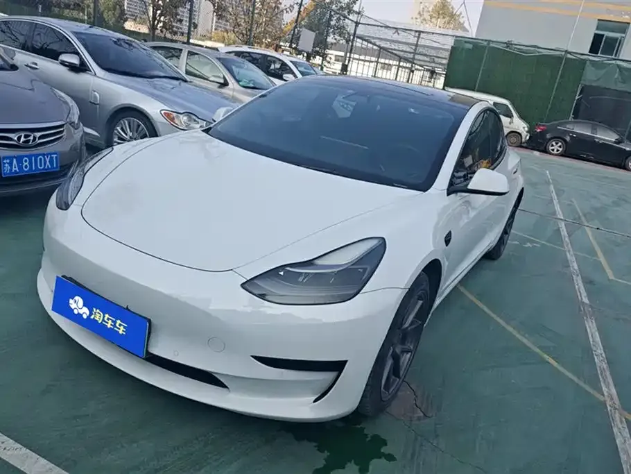 Tesla Model 3 2021 из CN, фото 1