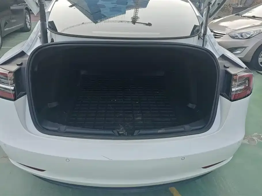 Tesla Model 3 2021 из CN, фото 4