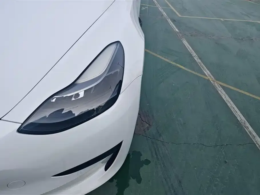 Tesla Model 3 2021 из CN, фото 5