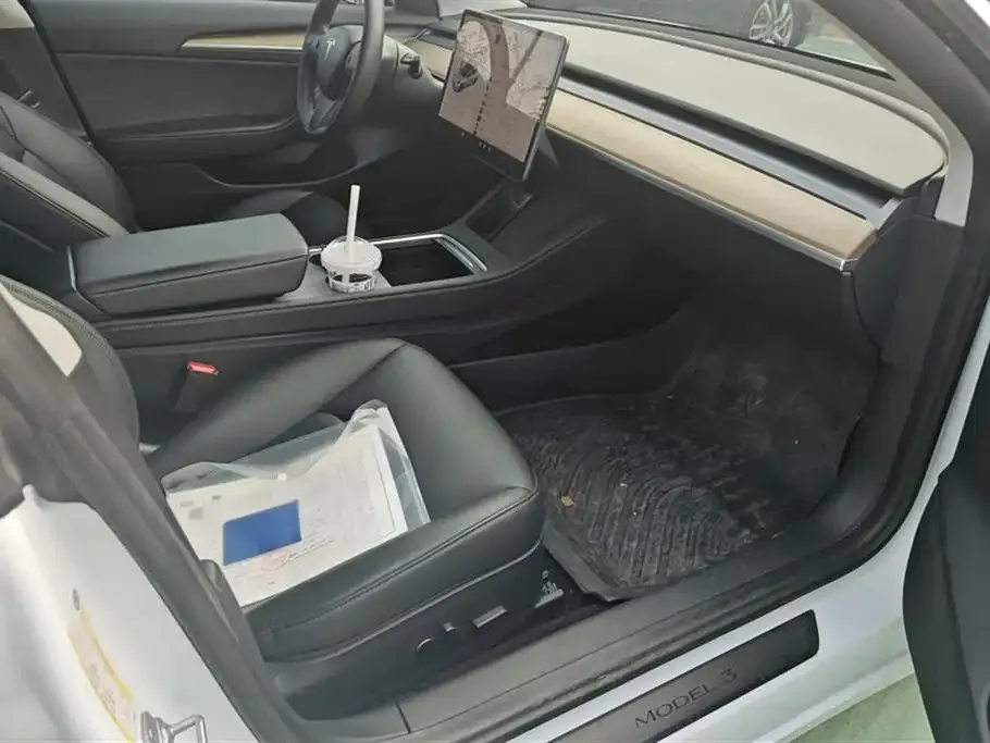 Tesla Model 3 2021 из CN, фото 8