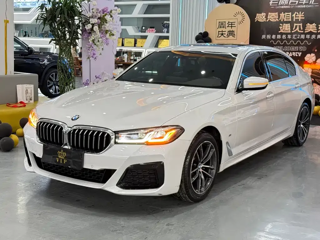 BMW 5 Series 2022 из CN, фото 1