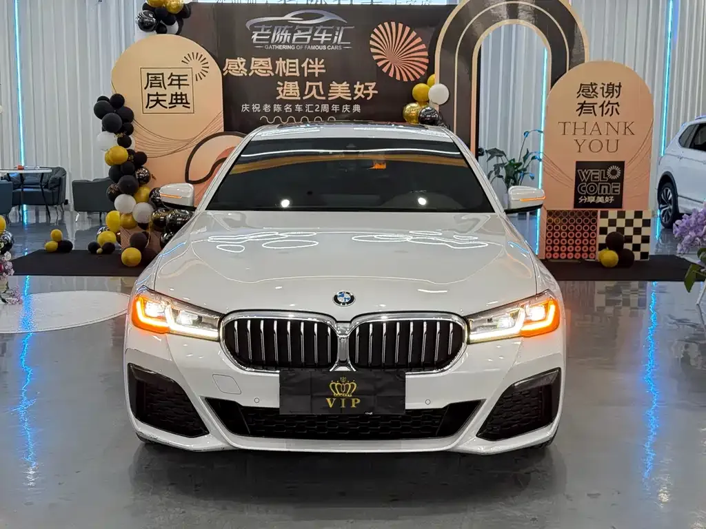 BMW 5 Series 2022 из CN, фото 2