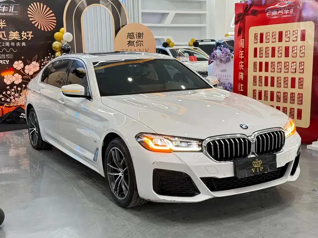 BMW 5 Series 2022 из CN, фото 3