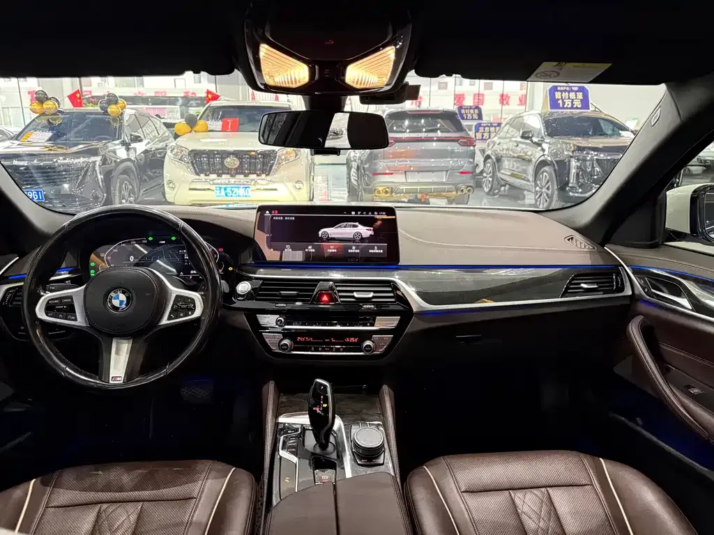 BMW 5 Series 2022 из CN, фото 4