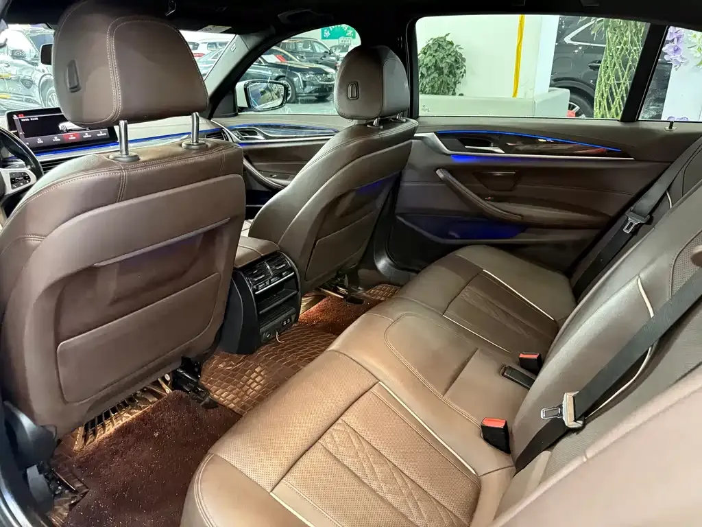 BMW 5 Series 2022 из CN, фото 6