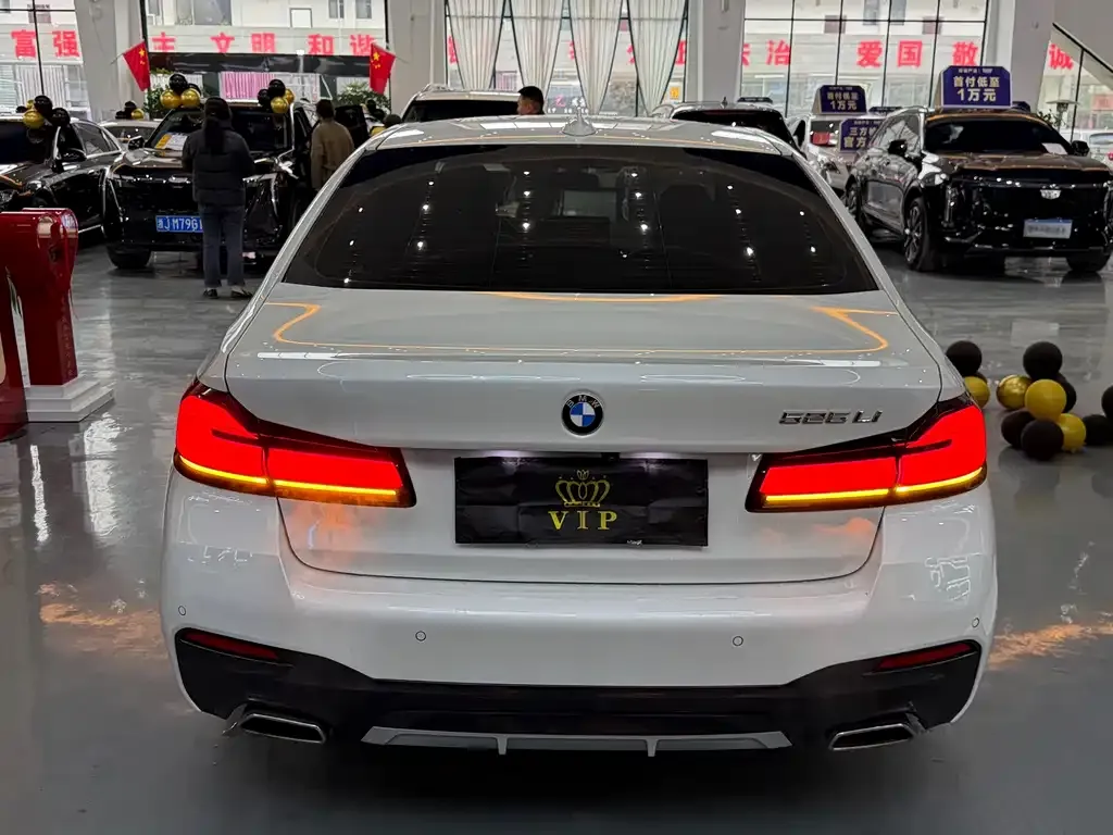 BMW 5 Series 2022 из CN, фото 8