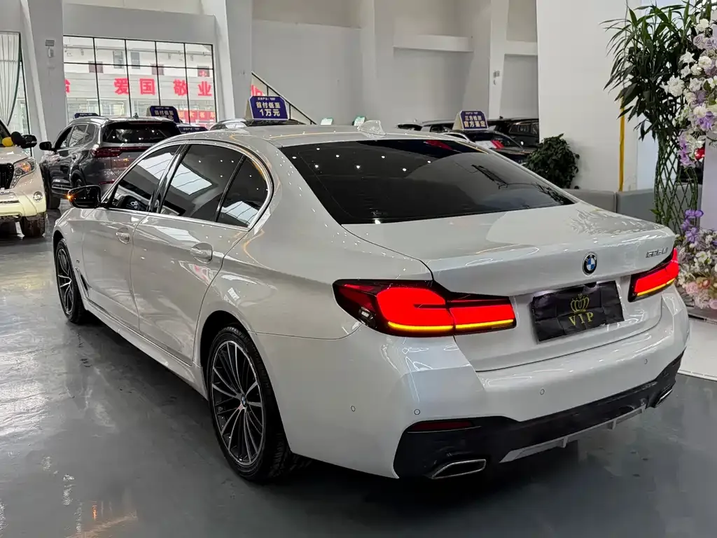 BMW 5 Series 2022 из CN, фото 9