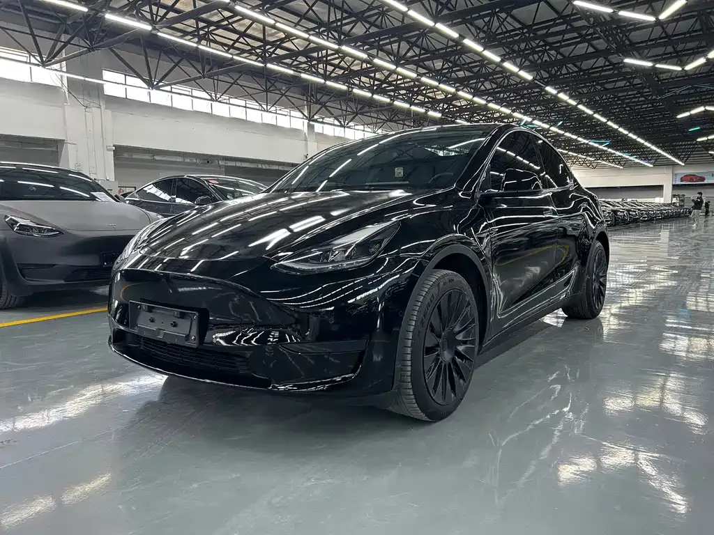 Tesla Model Y 2024 из CN, фото 1
