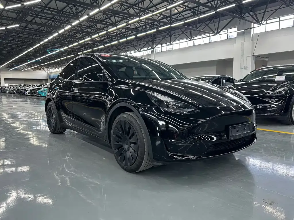 Tesla Model Y 2024 из CN, фото 3