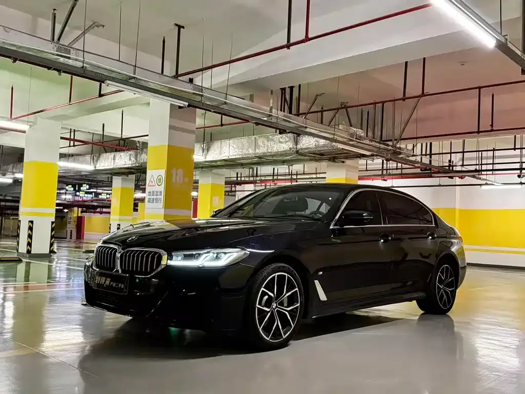 BMW 5 Series 2024 из CN, фото 1