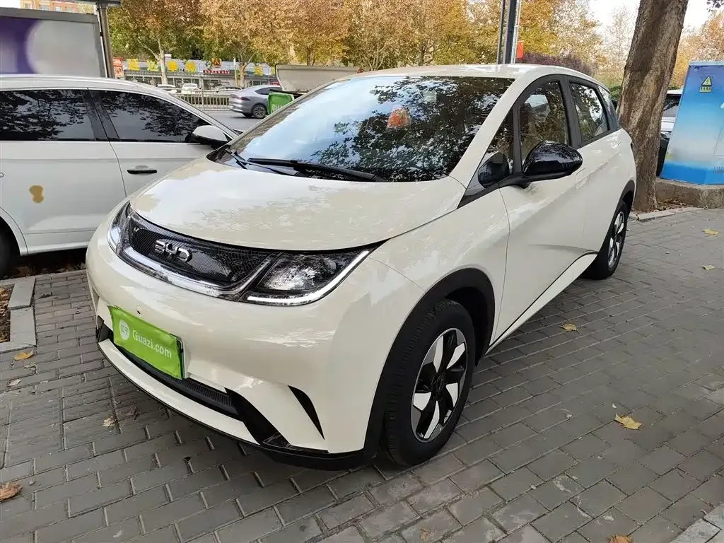 BYD Dolphin 2025 из CN, фото 1