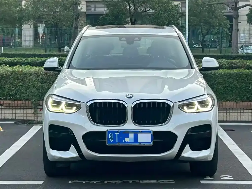 BMW X3 2021 из CN, фото 3