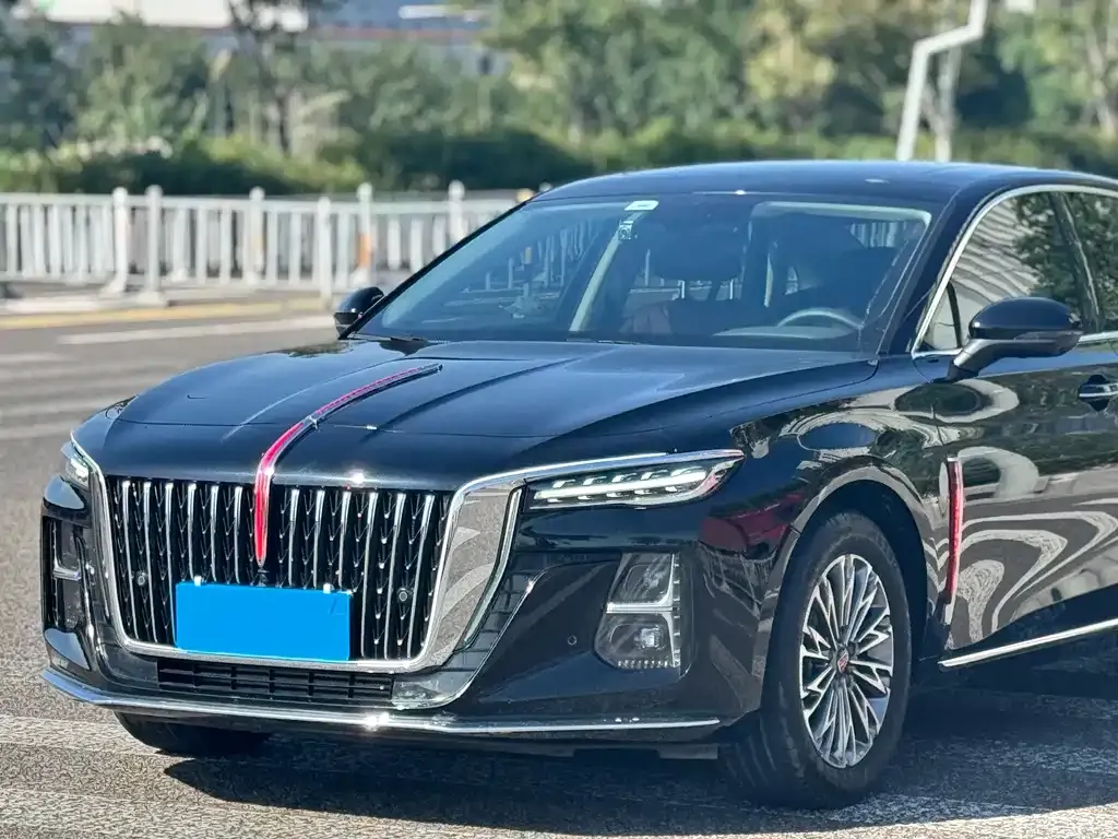 Hongqi H5 2023 из CN, фото 2