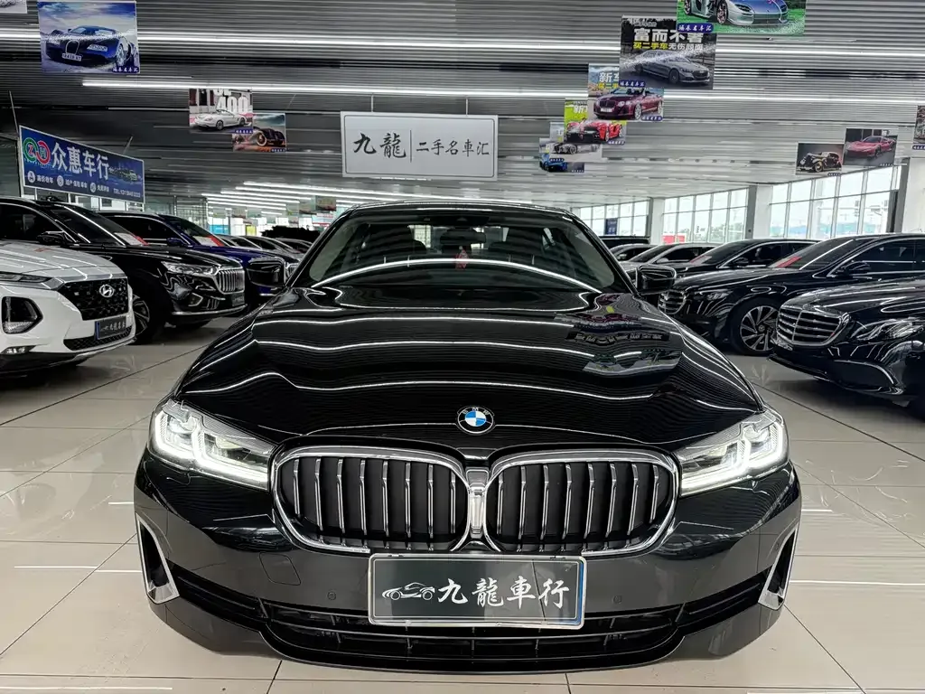 BMW 5 Series 2021 из CN, фото 2