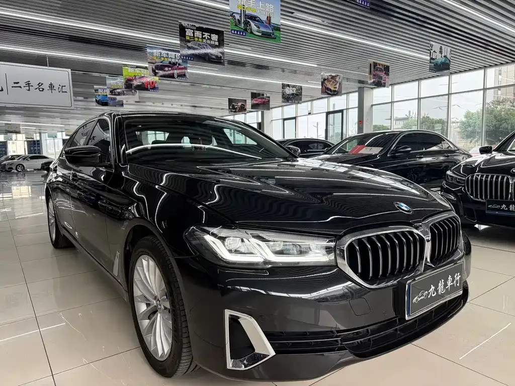 BMW 5 Series 2021 из CN, фото 3