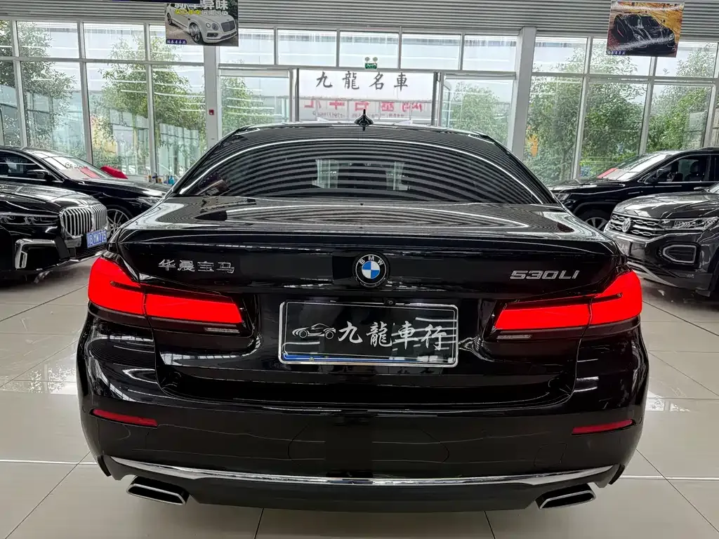 BMW 5 Series 2021 из CN, фото 4