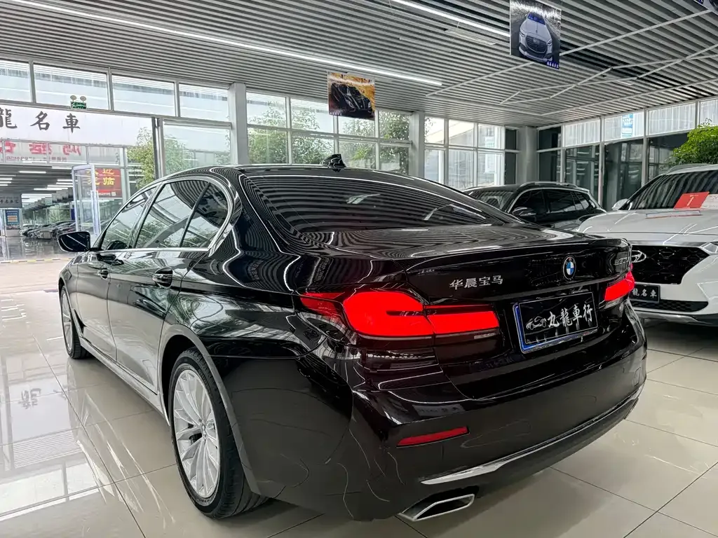 BMW 5 Series 2021 из CN, фото 5