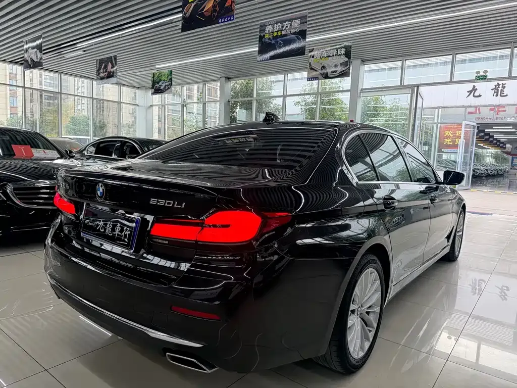 BMW 5 Series 2021 из CN, фото 6