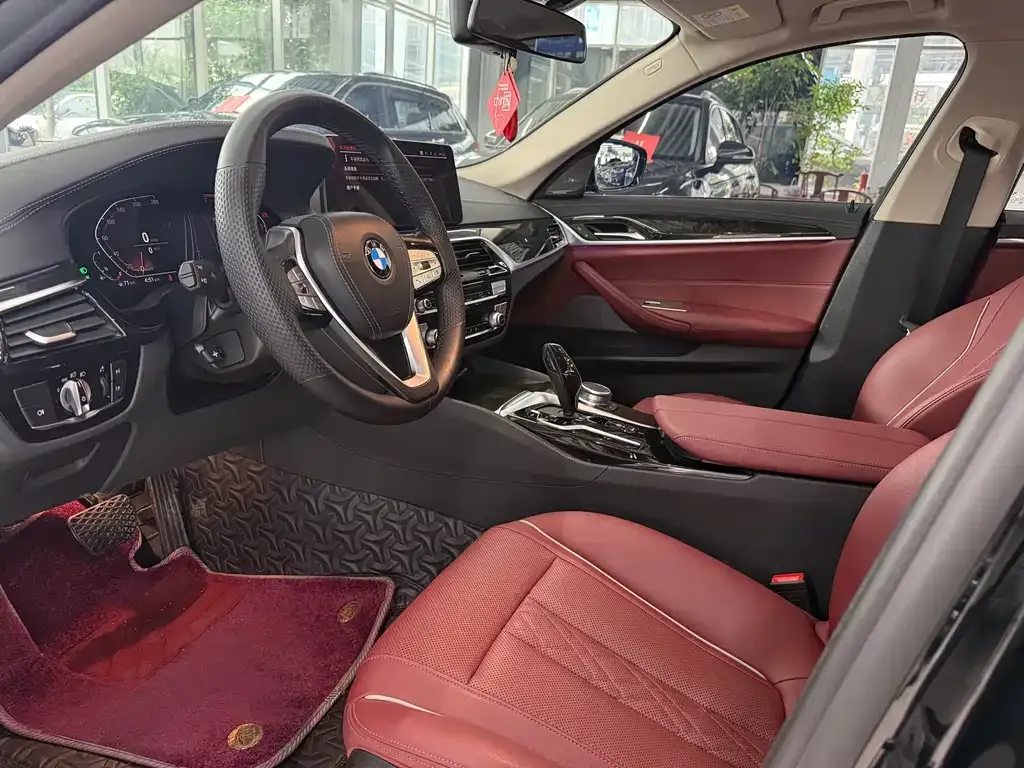 BMW 5 Series 2021 из CN, фото 7
