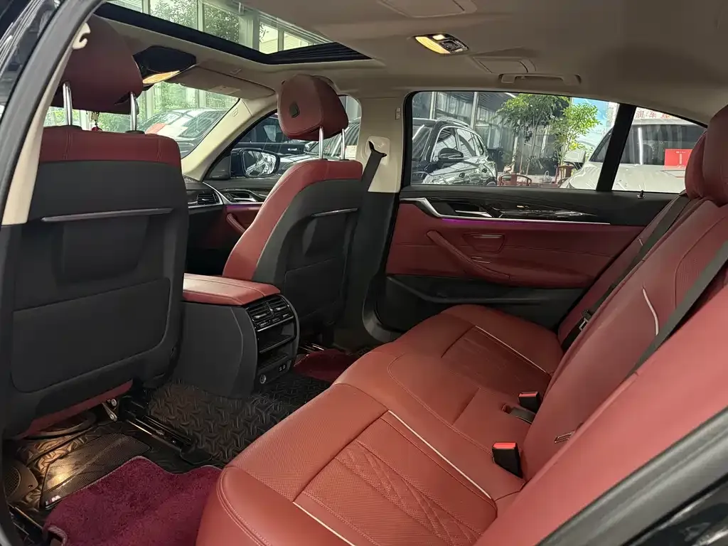 BMW 5 Series 2021 из CN, фото 9