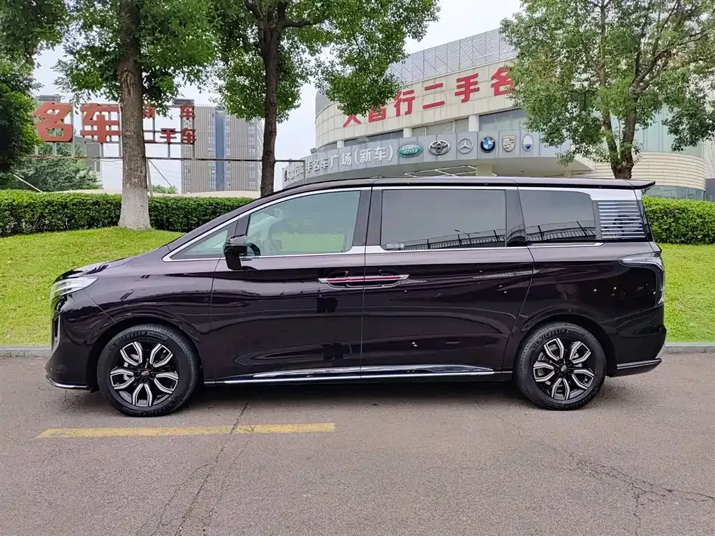 Hongqi HQ9 2023 из CN, фото 3