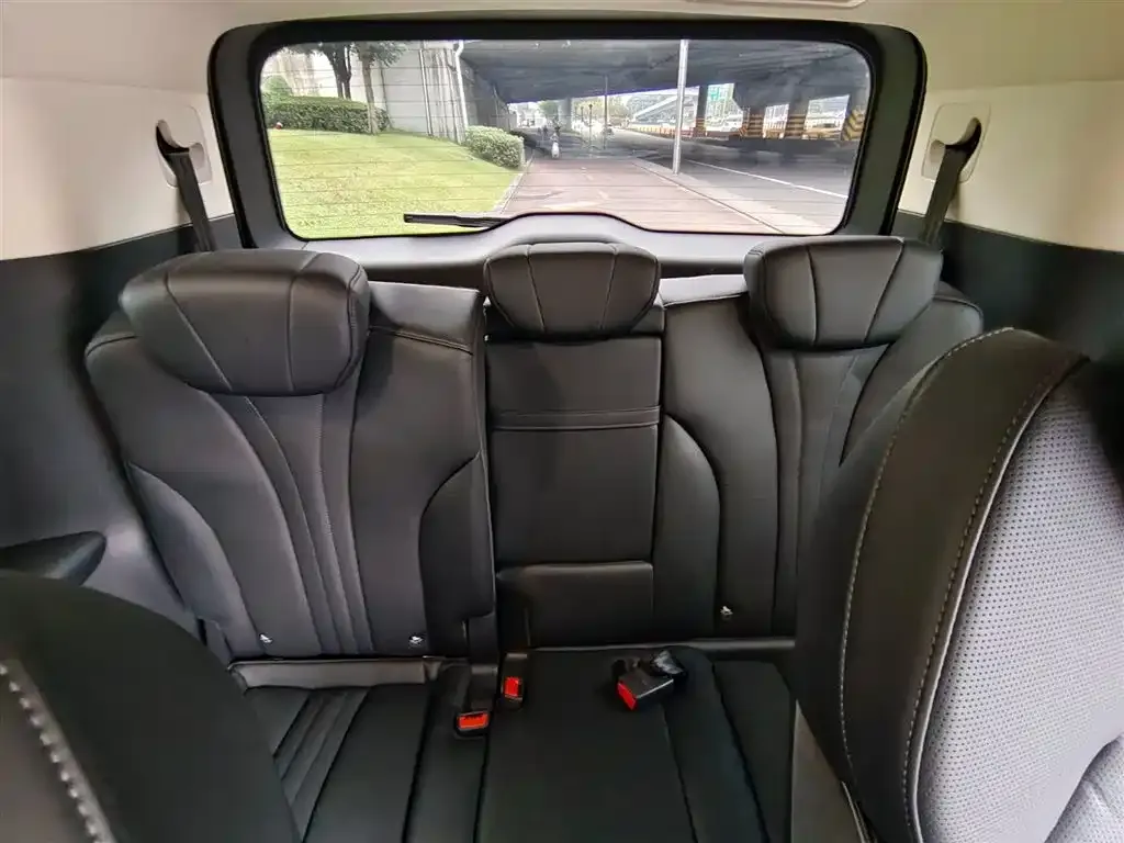 Hongqi HQ9 2023 из CN, фото 9