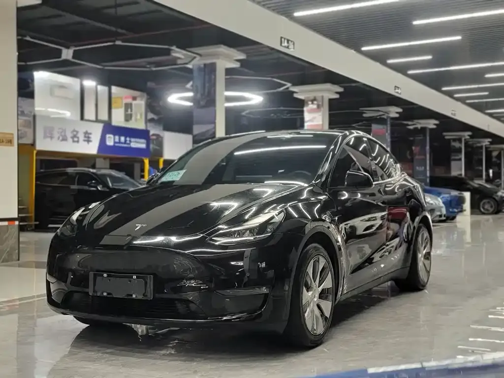 Tesla Model Y 2022 из CN, фото 1