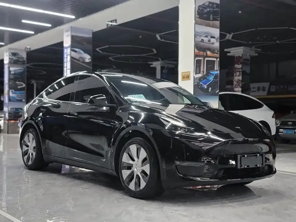 Tesla Model Y 2022 из CN, фото 3