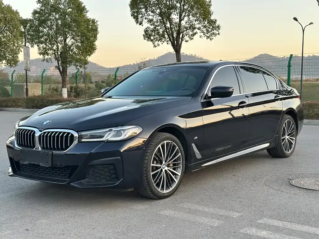 BMW 5 Series 2022 из CN, фото 1