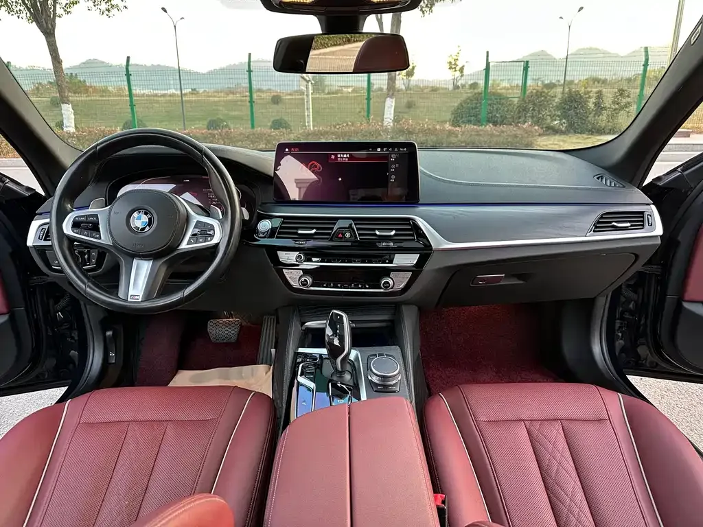 BMW 5 Series 2022 из CN, фото 10