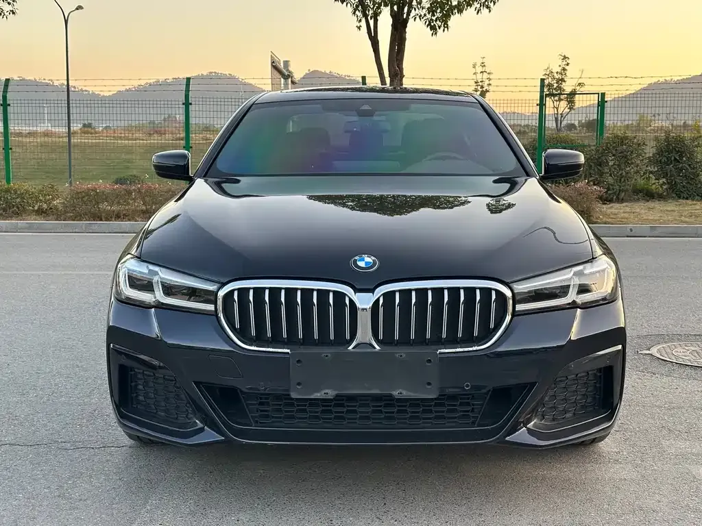 BMW 5 Series 2022 из CN, фото 2