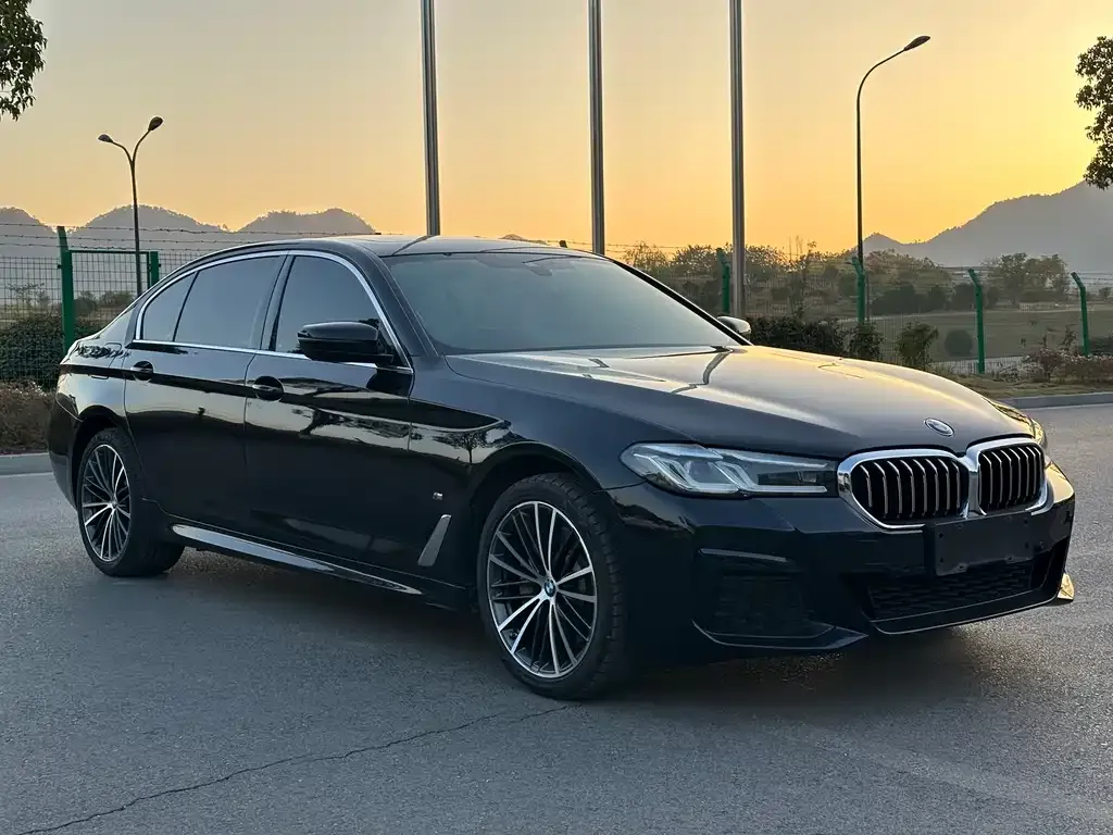 BMW 5 Series 2022 из CN, фото 3