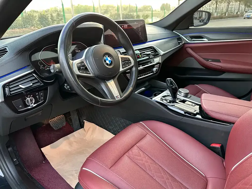 BMW 5 Series 2022 из CN, фото 5