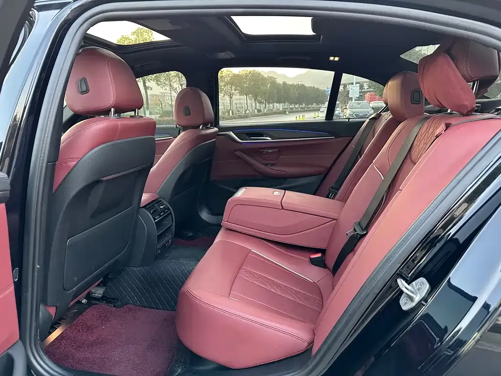 BMW 5 Series 2022 из CN, фото 7