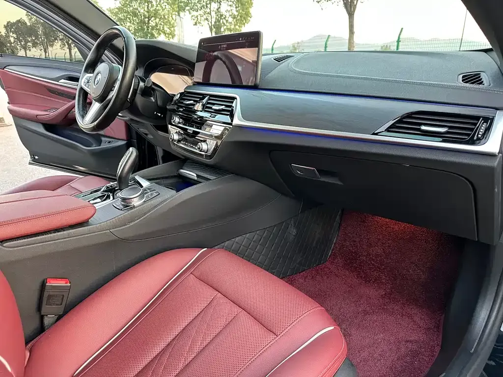 BMW 5 Series 2022 из CN, фото 9