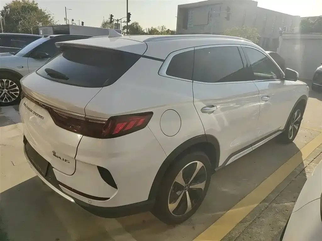 BYD PLUS New Energy 2021 из CN, фото 7