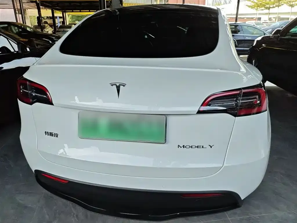 Tesla Model Y 2022 из CN, фото 6