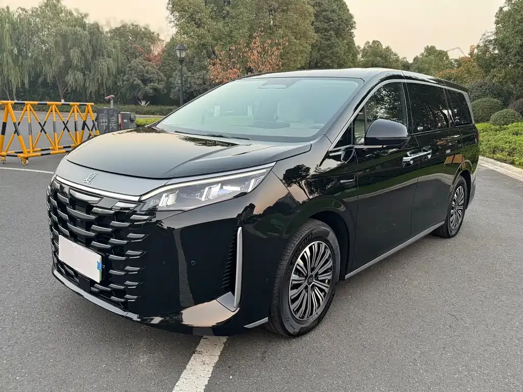 BYD Xia 2025 из CN, фото 1